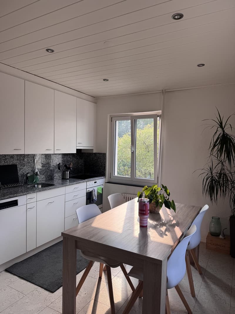 Befristete Wohnung 3 Monate Möbiliert (4)