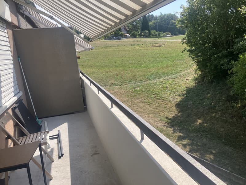 1 zimmer wohnung witikon zh (2)