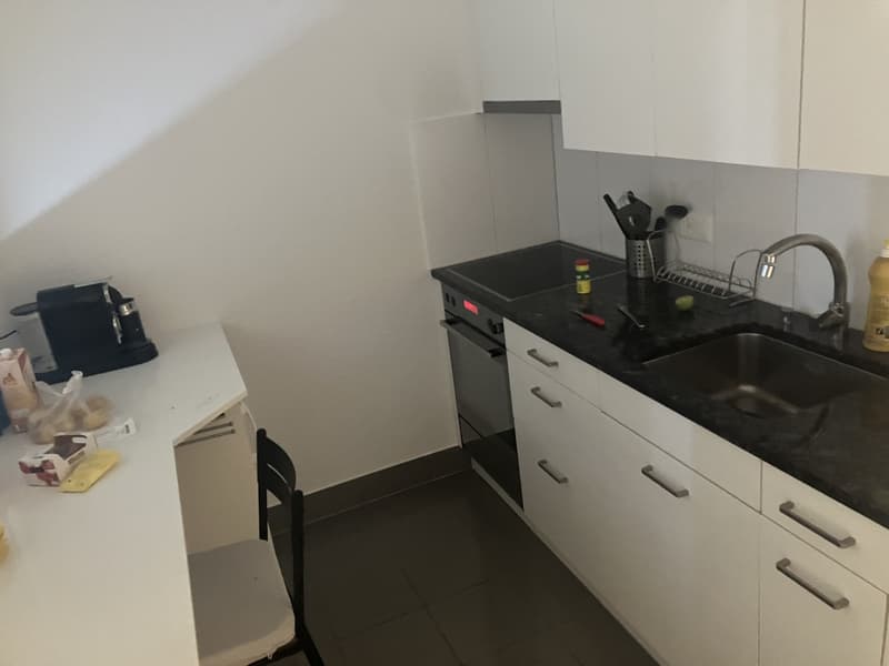 1 zimmer wohnung witikon zh (3)
