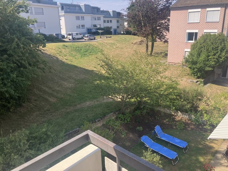 1 zimmer wohnung witikon zh (5)