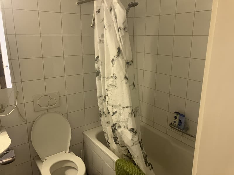 1 zimmer wohnung witikon zh (4)