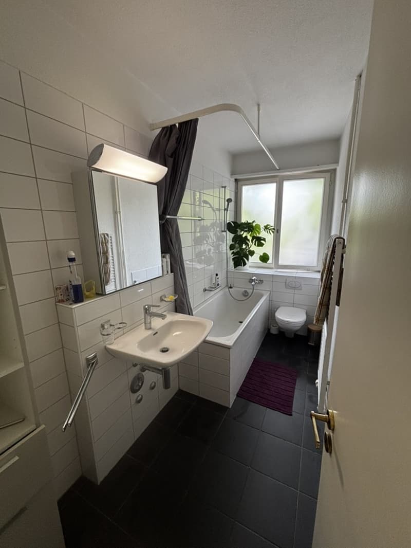 Large bright room (20m²) in a spacious flat  heart of Zürich (6)