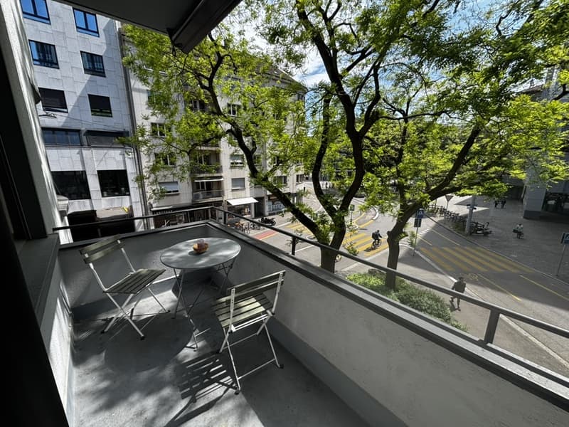 Large bright room (20m²) in a spacious flat  heart of Zürich (8)