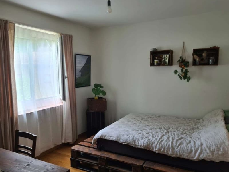 Gemütliche, rustikale Wohnung befristet bis 31.12.2026 zu vermieten (5)
