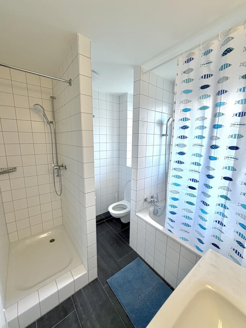 Grosses Zimmer in Gehdistanz zur ETH Hönggerberg :) (6)