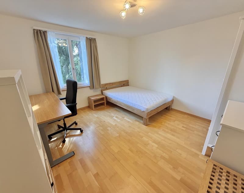 Grosses Zimmer in Gehdistanz zur ETH Hönggerberg :) (1)