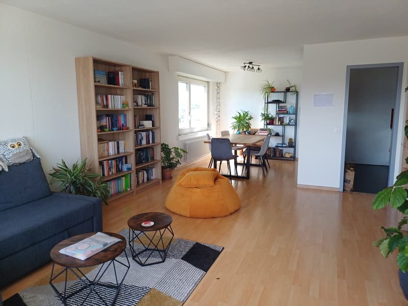WG-Zimmer 13m² zu vermieten (8)