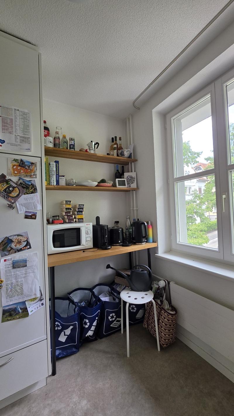 3 Zimmer-Wohnung in Zurich mieten (4)