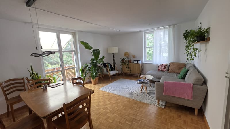 3 Zimmer-Wohnung in Zurich mieten (1)