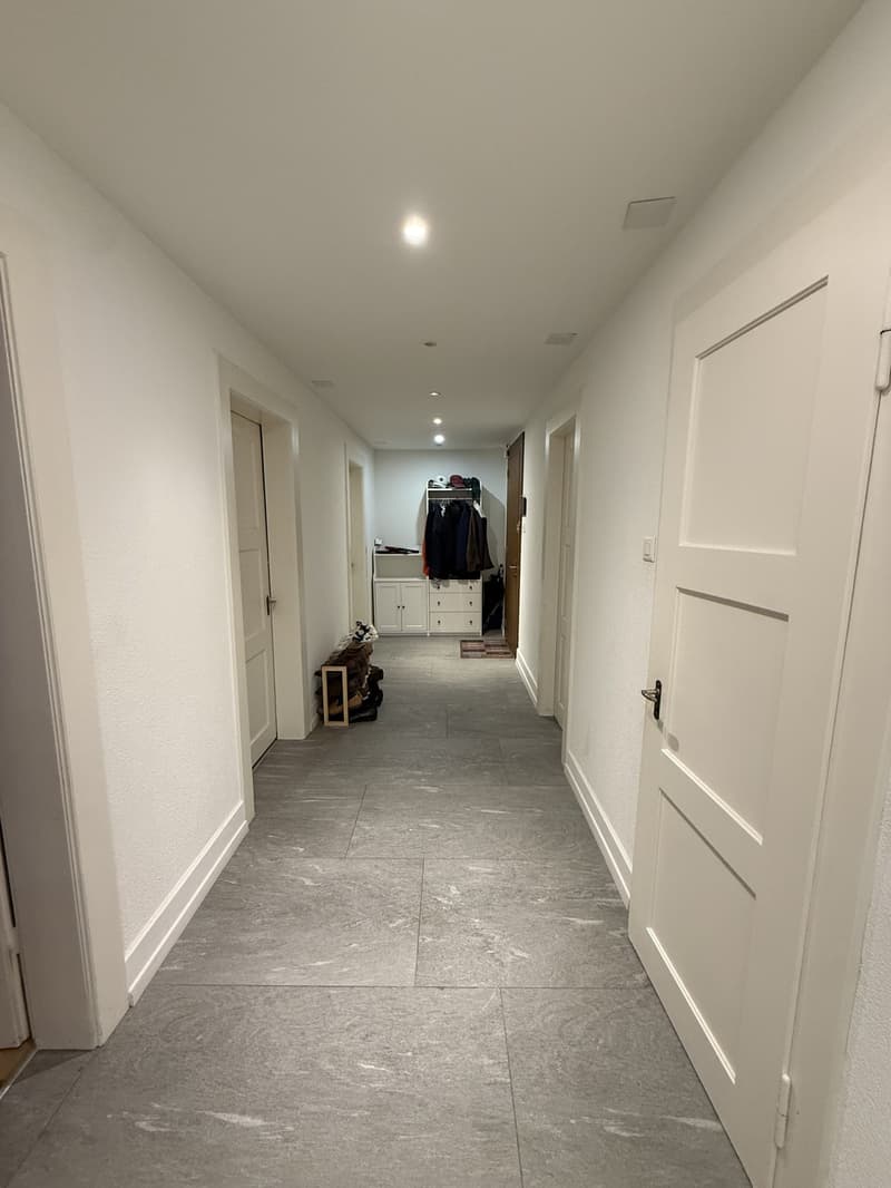 Room in central Zurich available from 1 September (7)