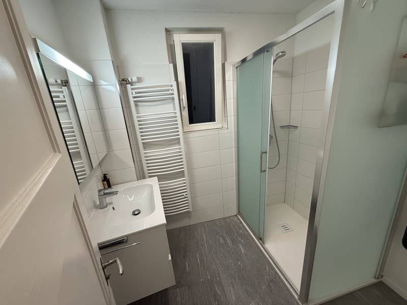Room in central Zurich available from 1 September (9)