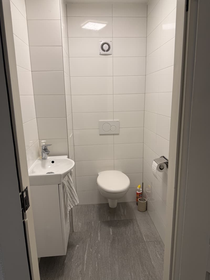Room in central Zurich available from 1 September (10)