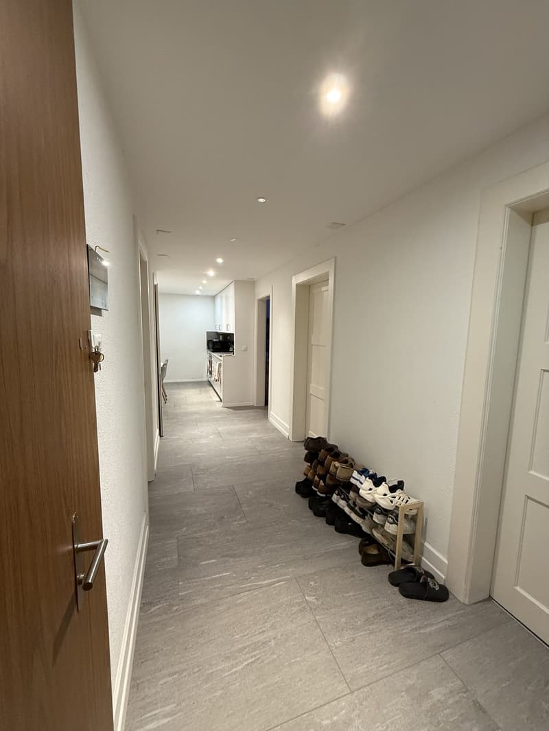 Room in central Zurich available from 1 September (8)