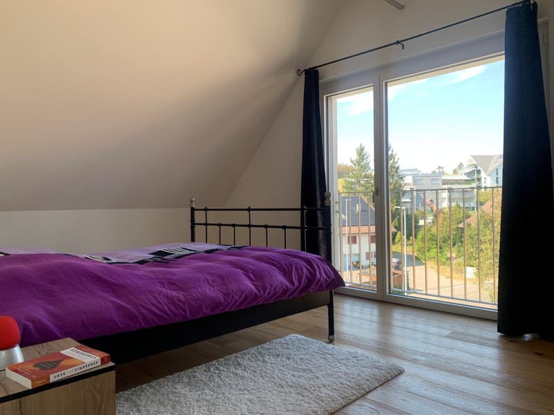 Nachmieter per 01.02.2027 für tolle Dachwohnung gesucht (12)