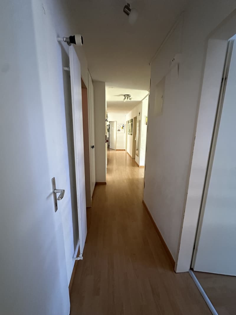 Nachmieter gesucht 7-Zimmer-Wohnung in Hochfelden ZH (3)