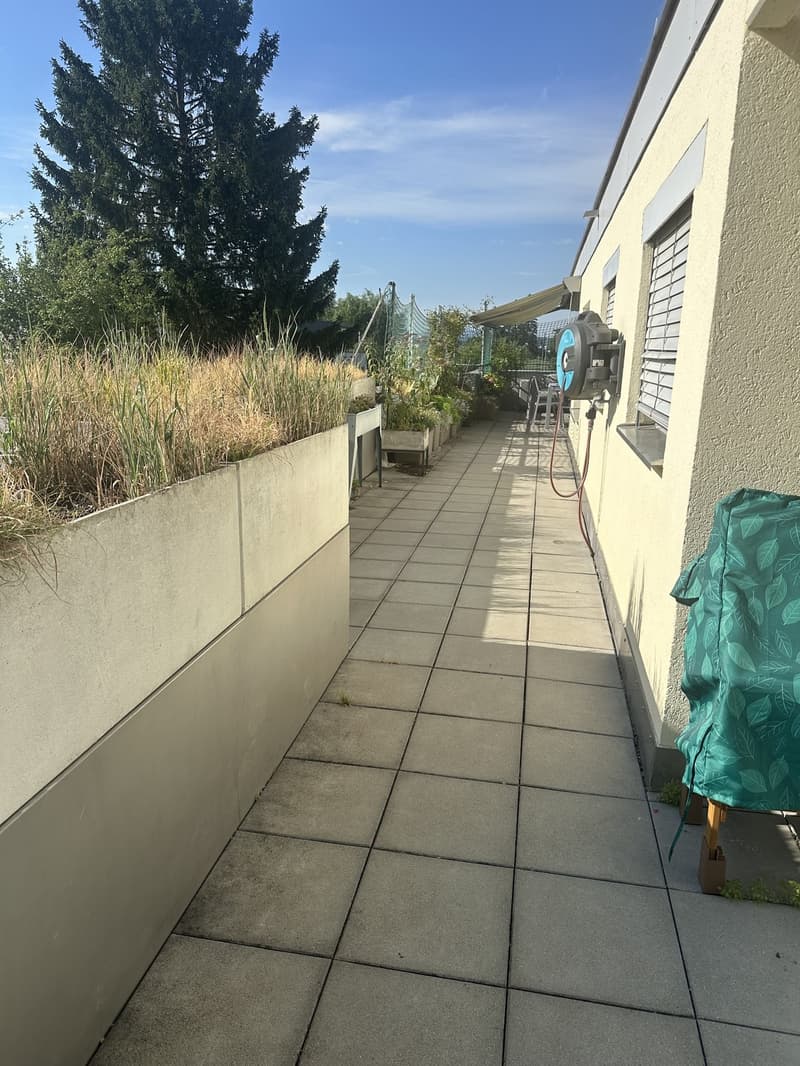 Nachmieter gesucht 7-Zimmer-Wohnung in Hochfelden ZH (5)