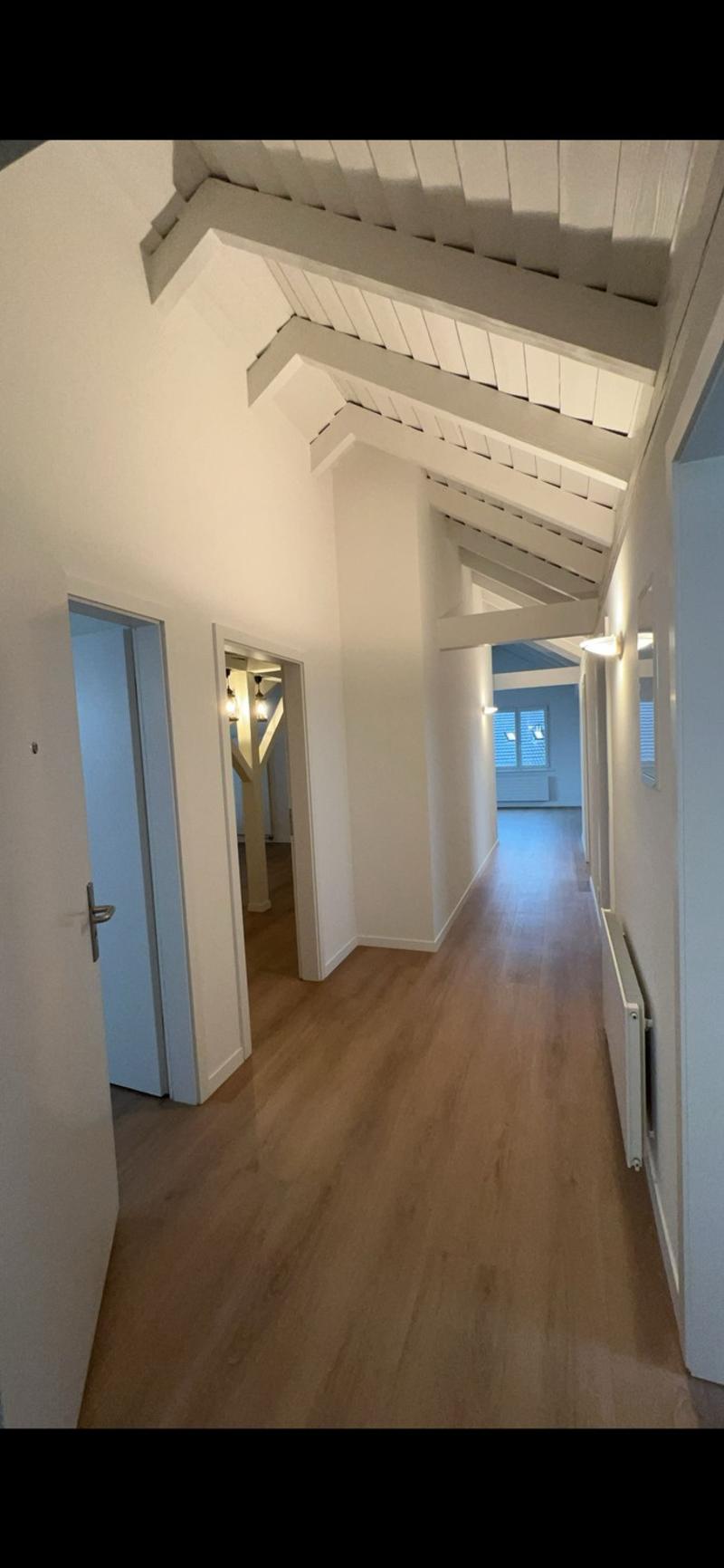 Wunderschöne 3.5-Zimmer-Dachwohnung in Hinwil mit grossem Balkon (2)