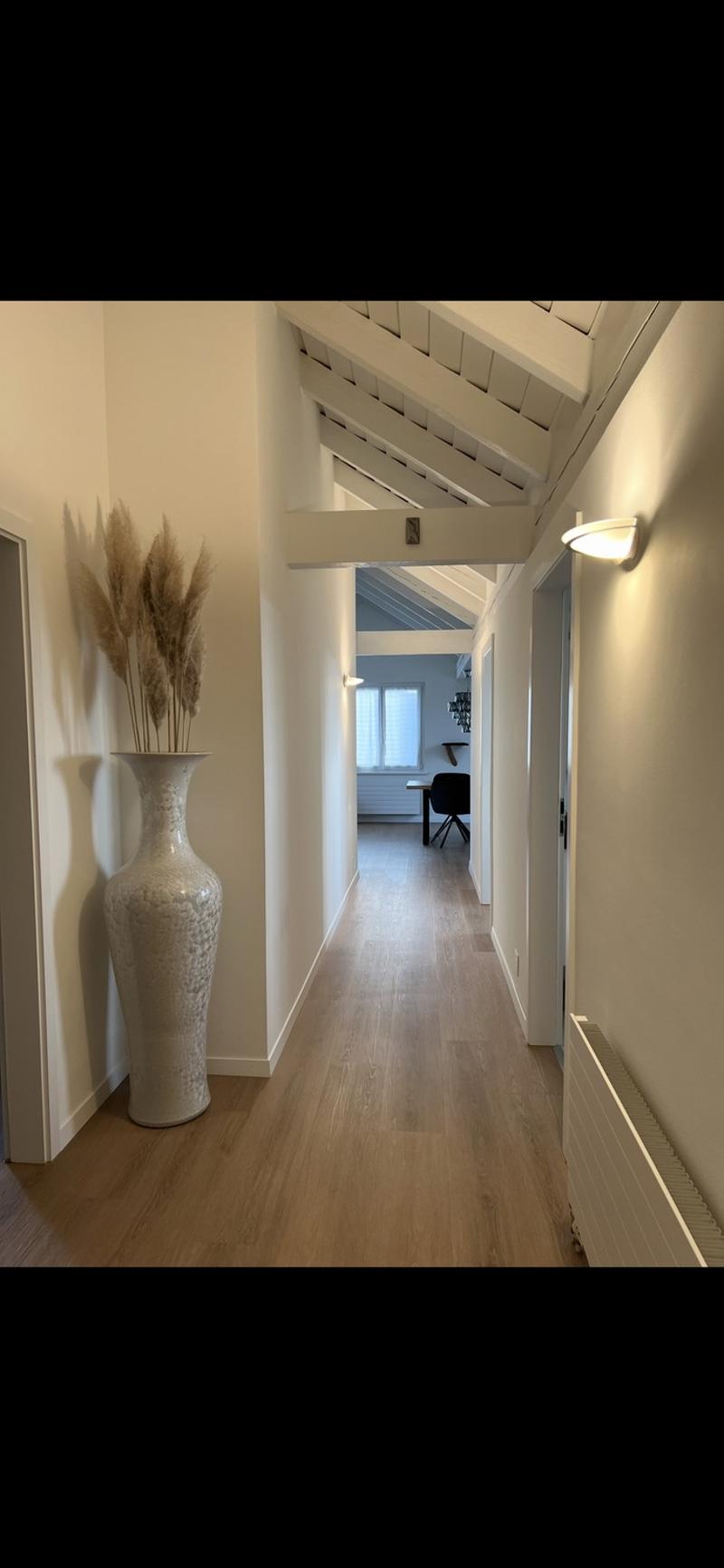Wunderschöne 3.5-Zimmer-Dachwohnung in Hinwil mit grossem Balkon (1)