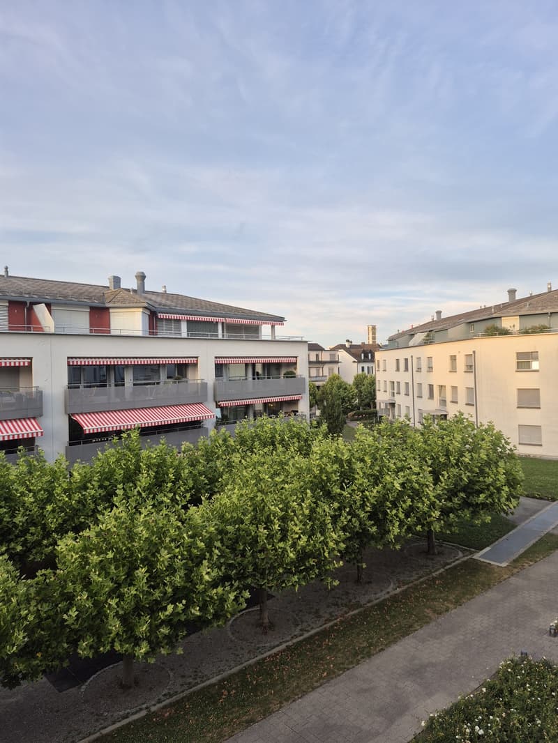 Zwischenmietr: WG Zimmer in Zürich Altstetten zu vermieten 16qm + eigenes Bad (6)