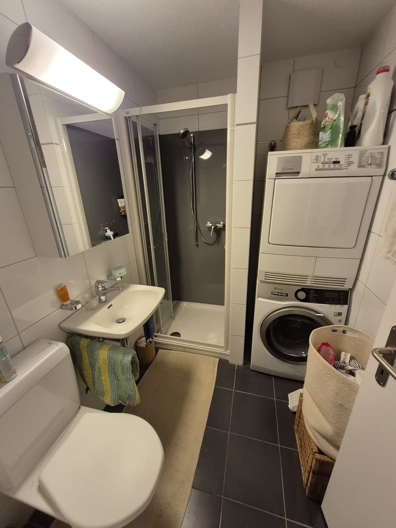 Zwischenmietr: WG Zimmer in Zürich Altstetten zu vermieten 16qm + eigenes Bad (7)