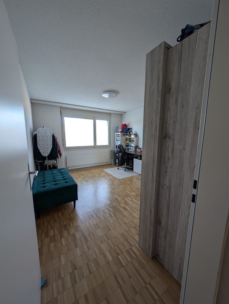Charming Fully Renovated 3.5-Room Ground-Floor Apartment with Private Garden (9)