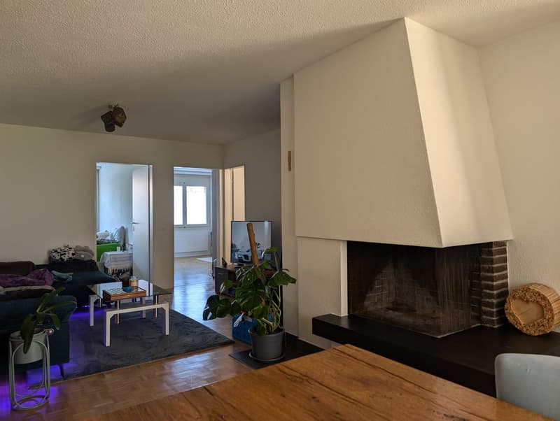 Charming Fully Renovated 3.5-Room Ground-Floor Apartment with Private Garden (6)
