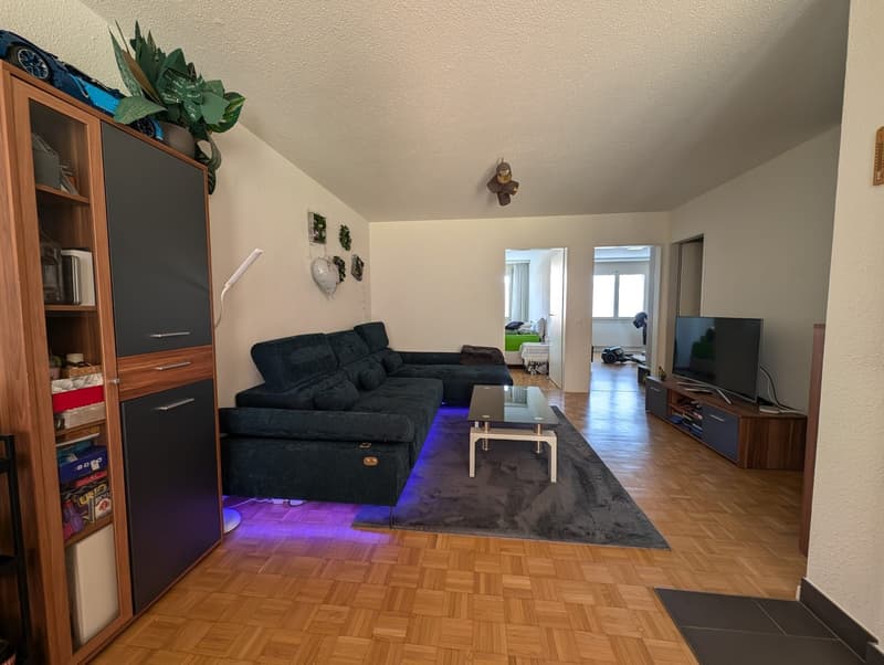 Charming Fully Renovated 3.5-Room Ground-Floor Apartment with Private Garden (7)