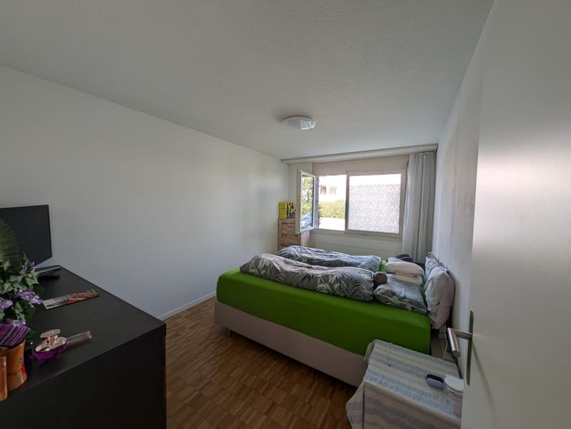 Charming Fully Renovated 3.5-Room Ground-Floor Apartment with Private Garden (10)