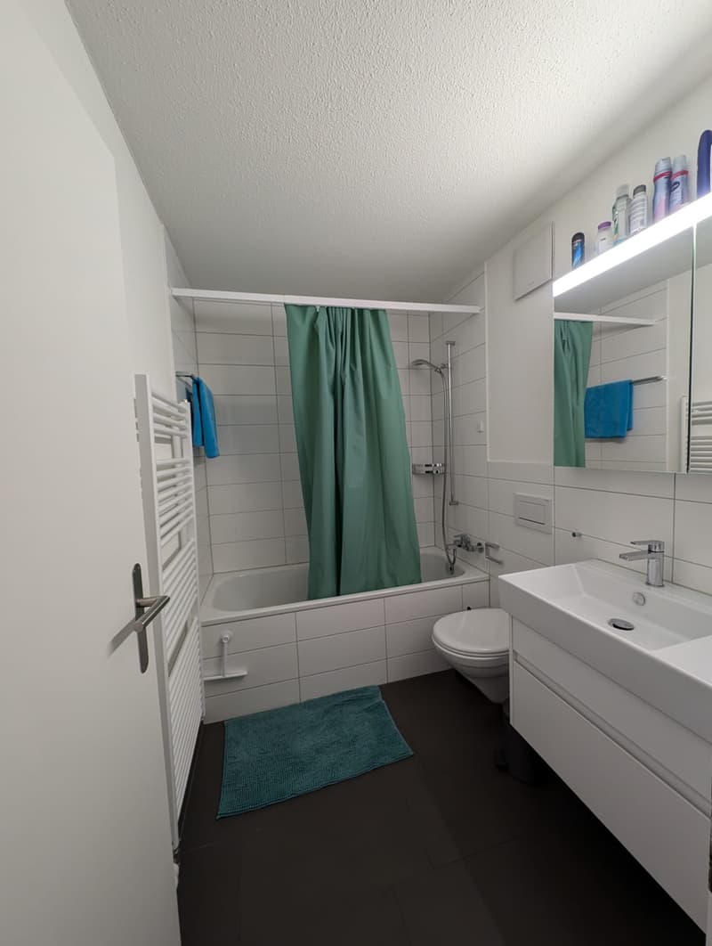 Charming Fully Renovated 3.5-Room Ground-Floor Apartment with Private Garden (11)