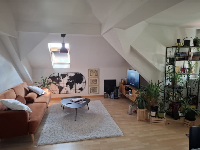 2.5 möblierte Dachwohnung für 3 Monate zu vermieten (1)