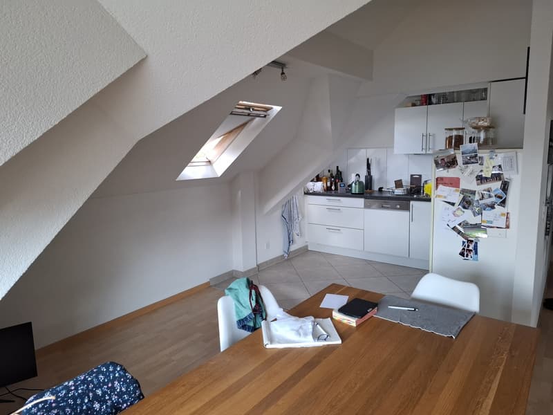 2.5 möblierte Dachwohnung für 3 Monate zu vermieten (2)
