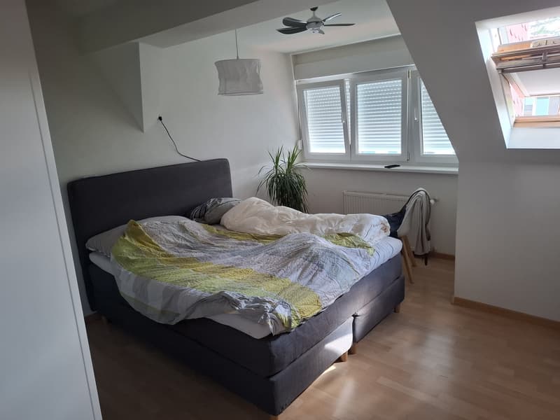 2.5 möblierte Dachwohnung für 3 Monate zu vermieten (3)