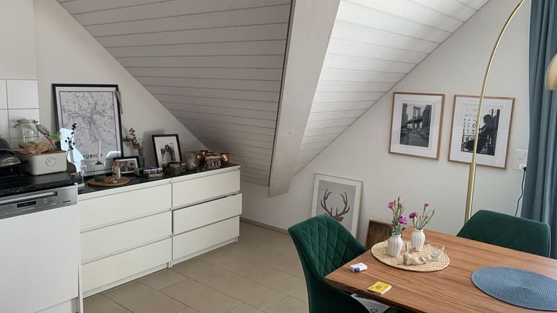 Grosszügige 3.5 Zimmer Dachwohnung (2)