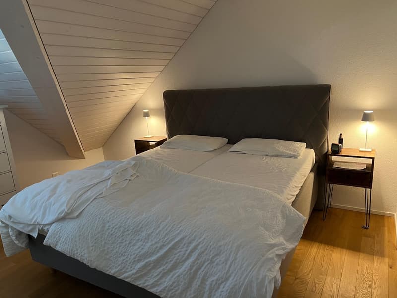 Grosszügige 3.5 Zimmer Dachwohnung (7)