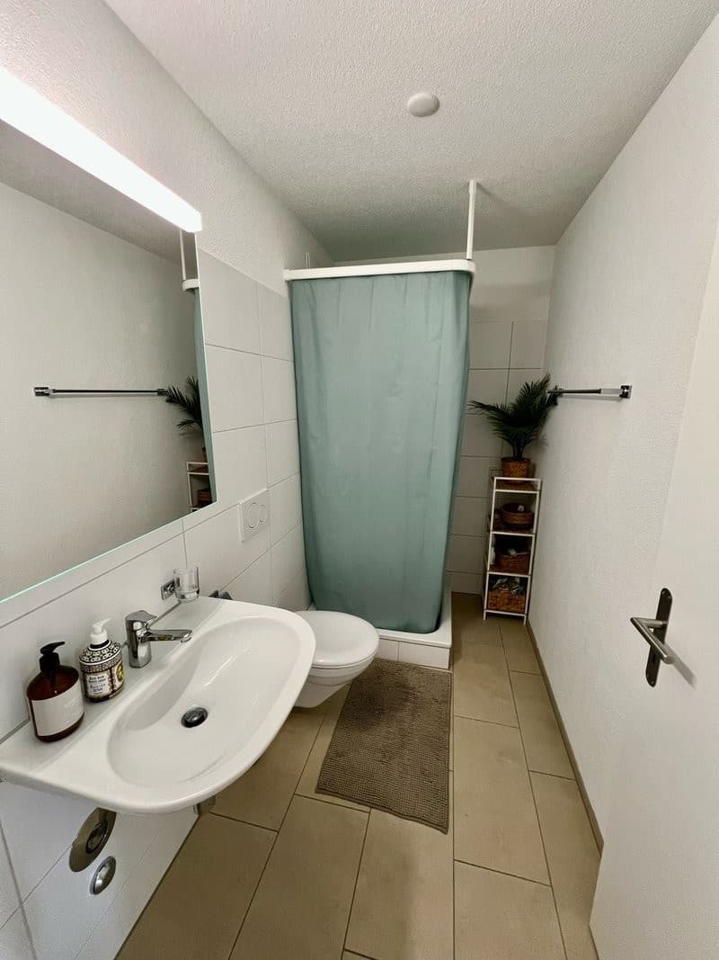 Grosszügige 3.5 Zimmer Dachwohnung (6)
