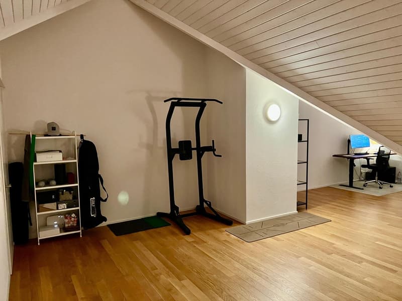 Grosszügige 3.5 Zimmer Dachwohnung (11)
