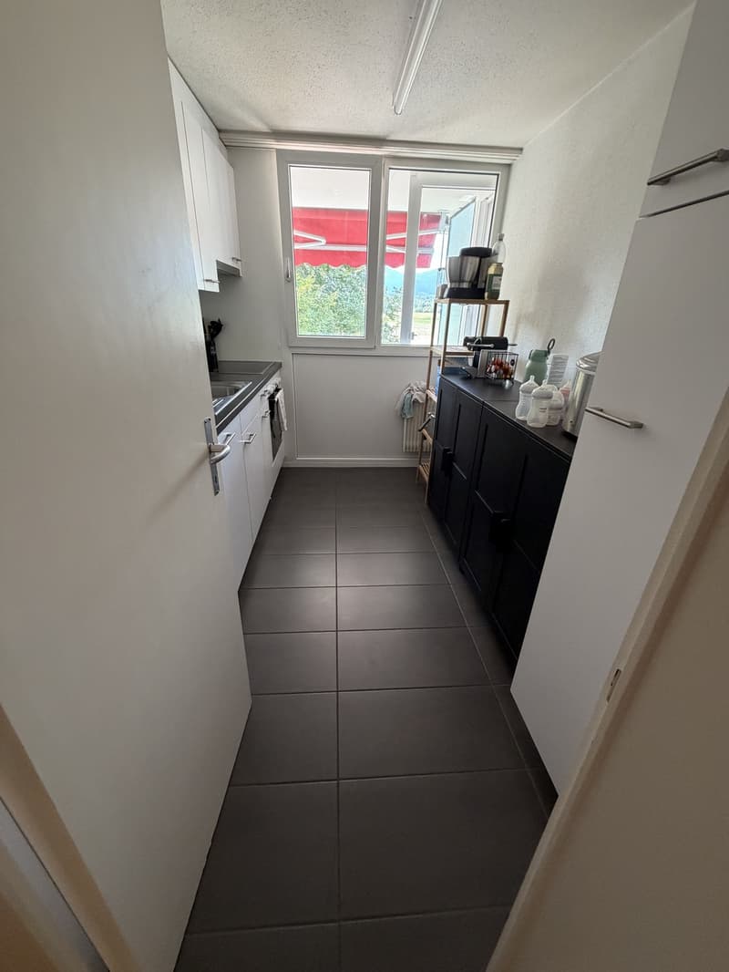3,5 Zimmer Wohnung (8)