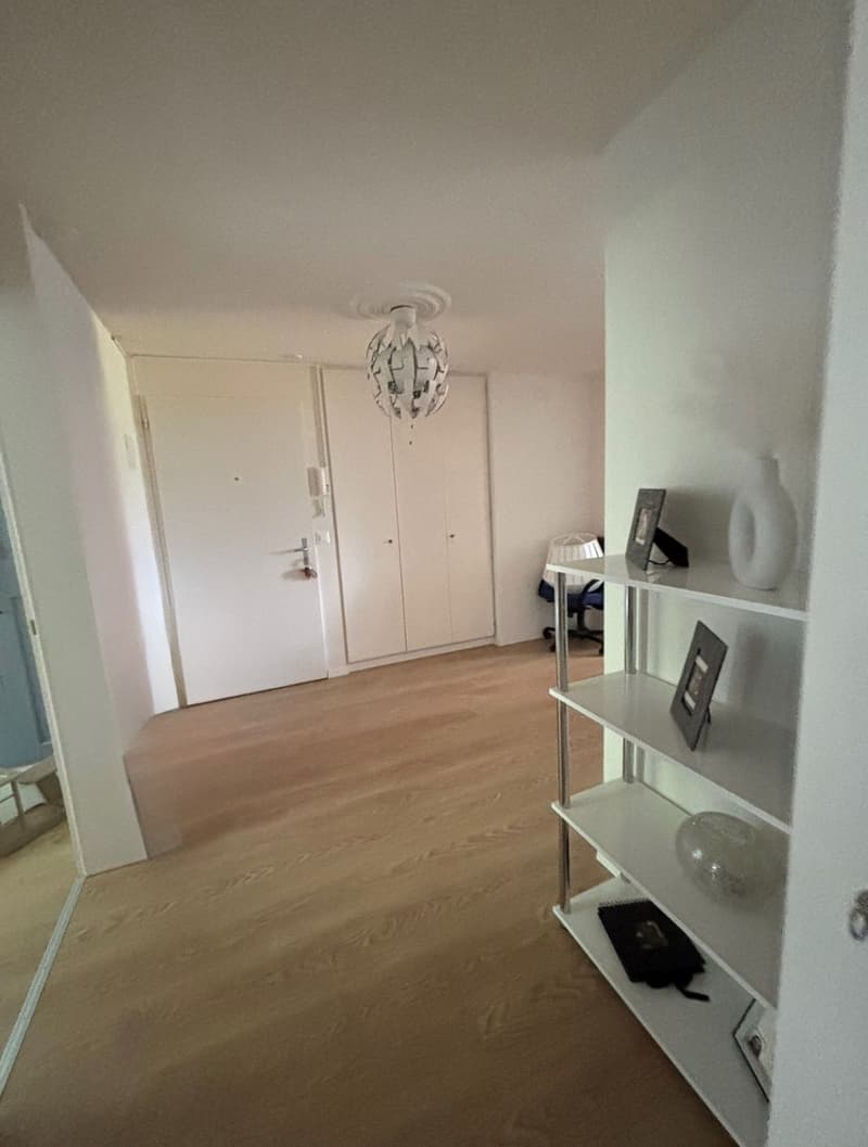 3,5 Zimmer Wohnung (1)