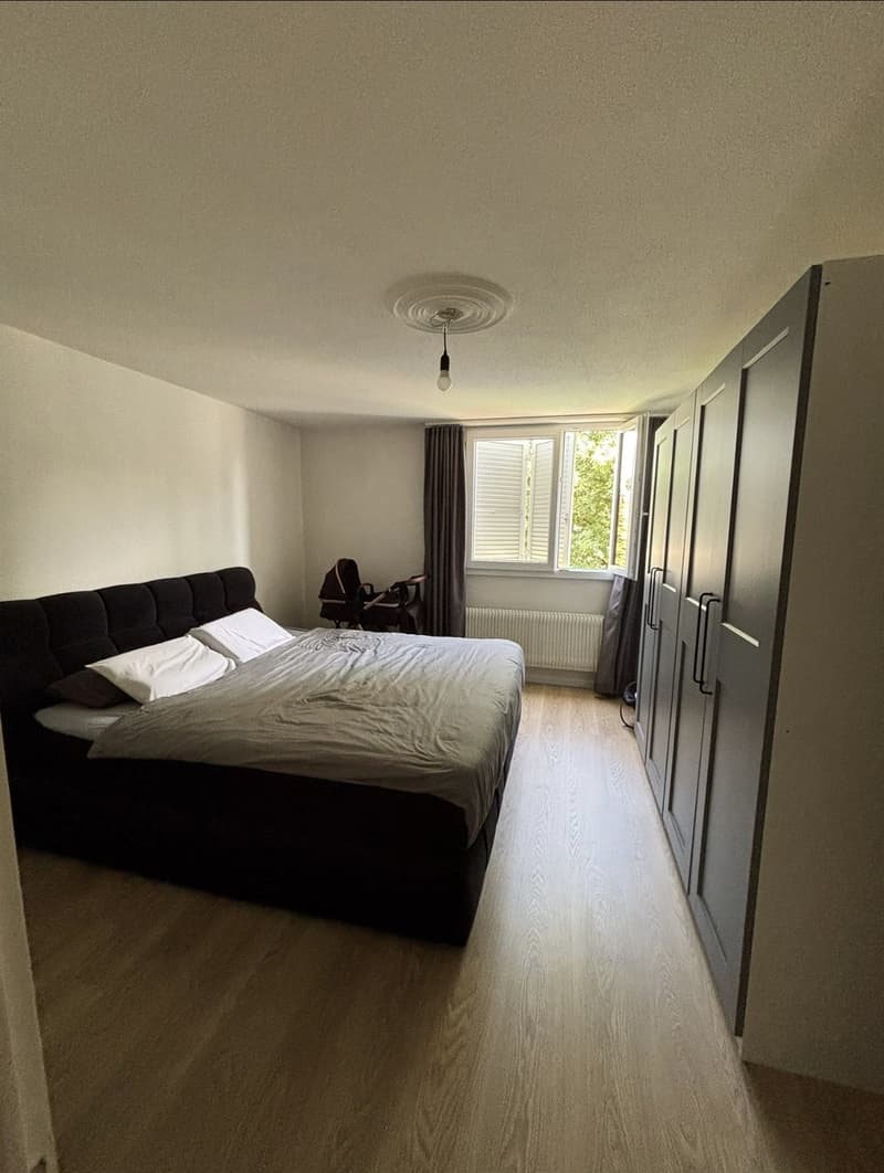3,5 Zimmer Wohnung (4)