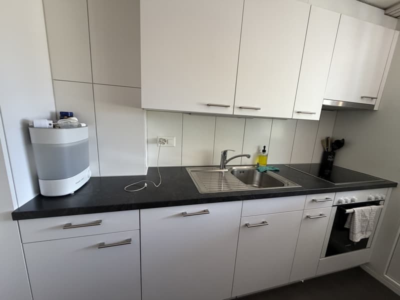3,5 Zimmer Wohnung (9)