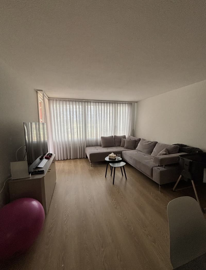 3,5 Zimmer Wohnung (6)