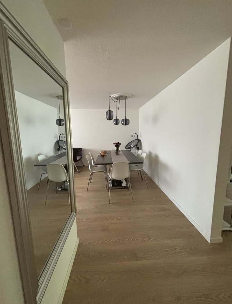 3,5 Zimmer Wohnung (2)