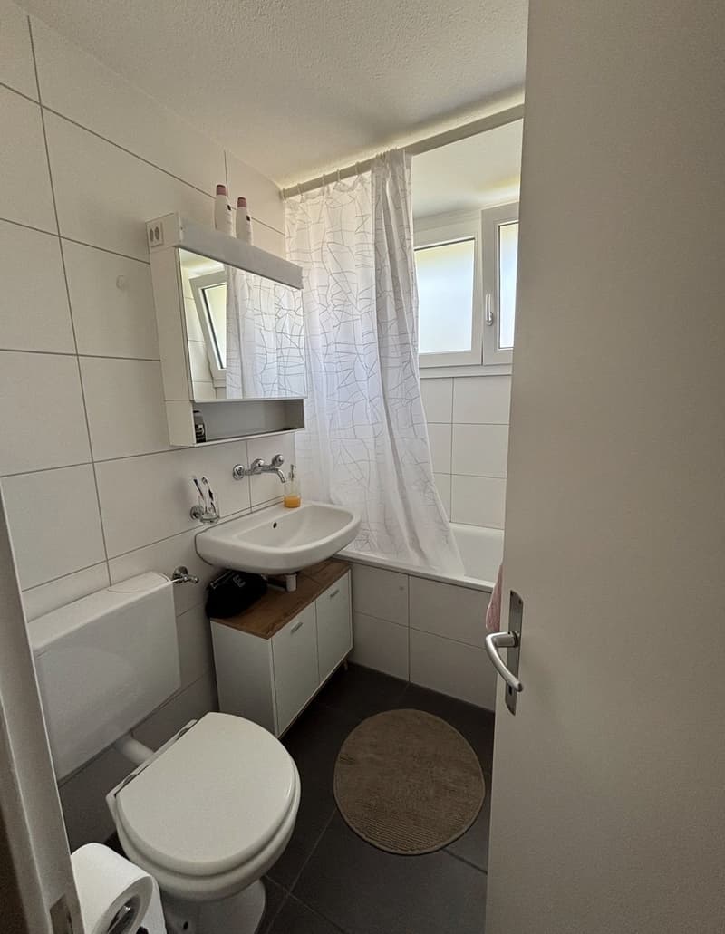 3,5 Zimmer Wohnung (3)