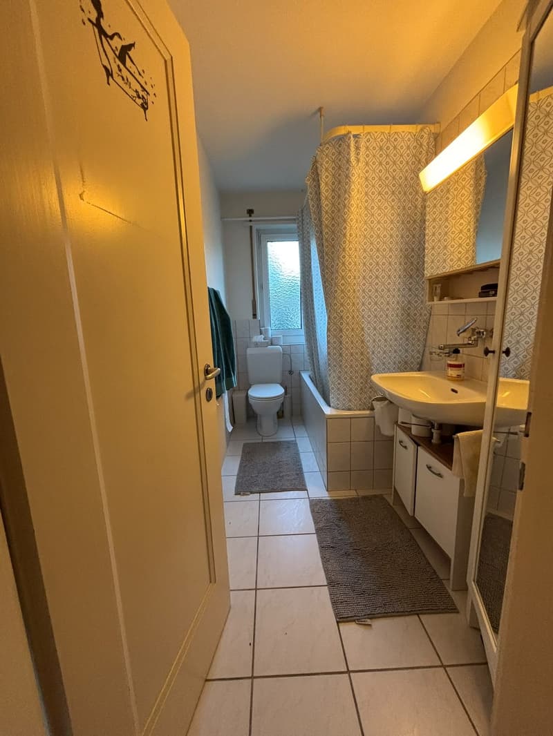 Unbefristetes WG-Zimmer in 8051 Zürich ETH nähe Frauen-WG (11)
