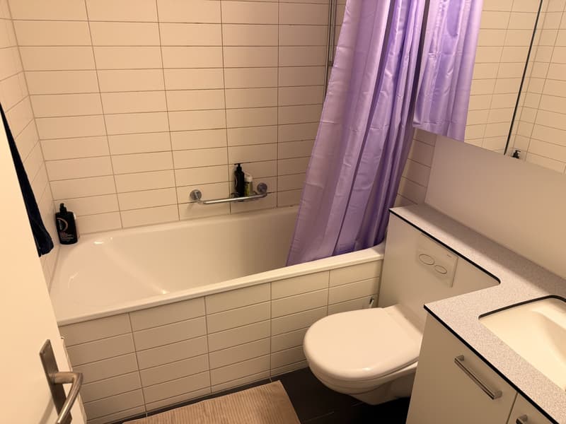 Möblierte Untermiete 2.5 Zi.  Wannerstrasse, Brunaupark (Zürich) // Furnished sublet, 2.5 rooms  Wannerstrasse, Brunaupark (Zurich) (10)