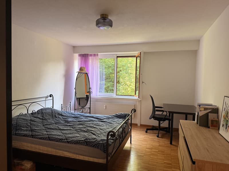 Möblierte Untermiete 2.5 Zi.  Wannerstrasse, Brunaupark (Zürich) // Furnished sublet, 2.5 rooms  Wannerstrasse, Brunaupark (Zurich) (5)