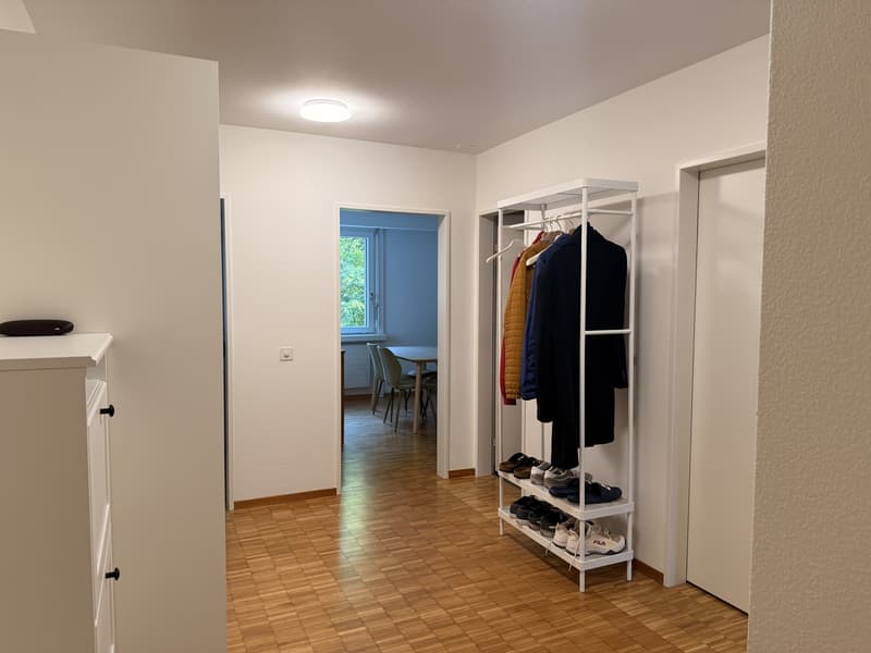 Möblierte Untermiete 2.5 Zi.  Wannerstrasse, Brunaupark (Zürich) // Furnished sublet, 2.5 rooms  Wannerstrasse, Brunaupark (Zurich) (9)