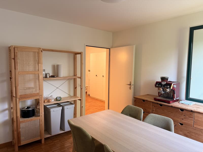 Möblierte Untermiete 2.5 Zi.  Wannerstrasse, Brunaupark (Zürich) // Furnished sublet, 2.5 rooms  Wannerstrasse, Brunaupark (Zurich) (7)