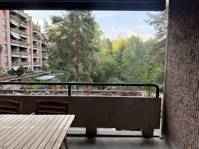 Möblierte Untermiete 2.5 Zi.  Wannerstrasse, Brunaupark (Zürich) // Furnished sublet, 2.5 rooms  Wannerstrasse, Brunaupark (Zurich) (3)