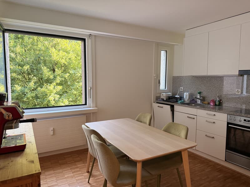 Möblierte Untermiete 2.5 Zi.  Wannerstrasse, Brunaupark (Zürich) // Furnished sublet, 2.5 rooms  Wannerstrasse, Brunaupark (Zurich) (8)